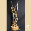 Lampe Blanche